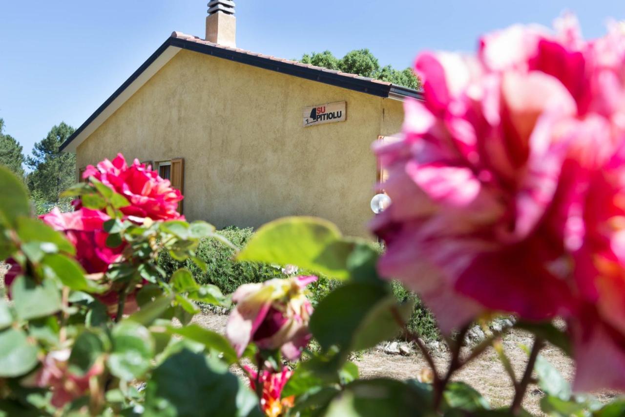 B&B Su Pitiolu Làconi Exterior foto